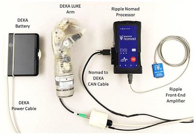 Portable Take-Home System Enables Proportional Control and High-Resolution Data Logging With a Multi-Degree-of-Freedom Bionic Arm